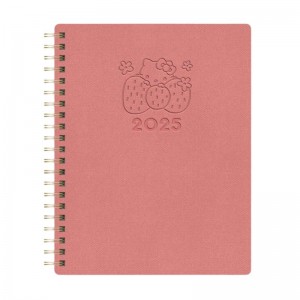 Sanrio Hello Kitty x Studio Oh! 2025 Desert Adventure Baxter Planner Sanrio Characters Planner USA | PCXGZ-9210