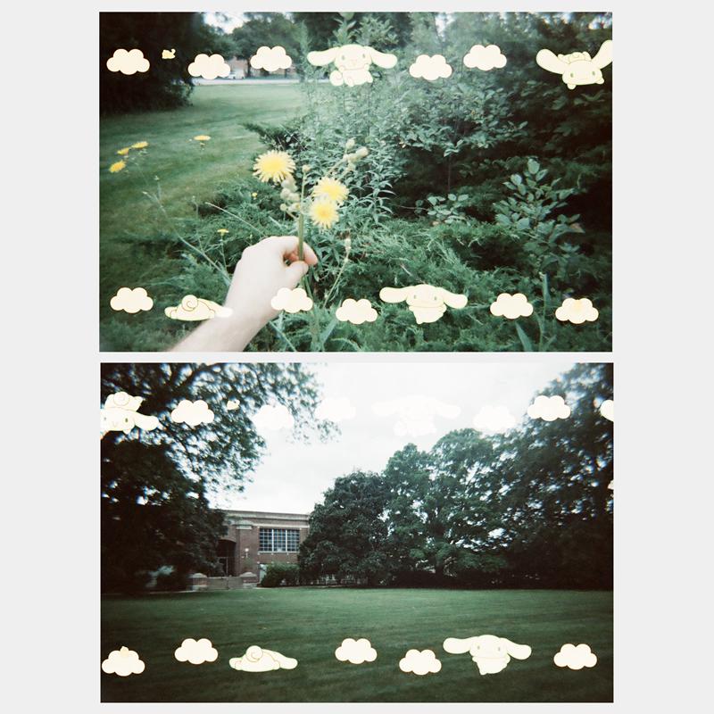 Sanrio Cinnamoroll 35mm Special Sanrio Characters Border Film  USA |  XEAZW-5107