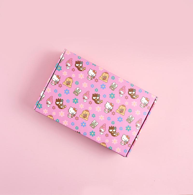 Sanrio Hello Kitty x Erin Condren Special Edition Gift Sanrio Characters Box  USA |  CADIQ-0857