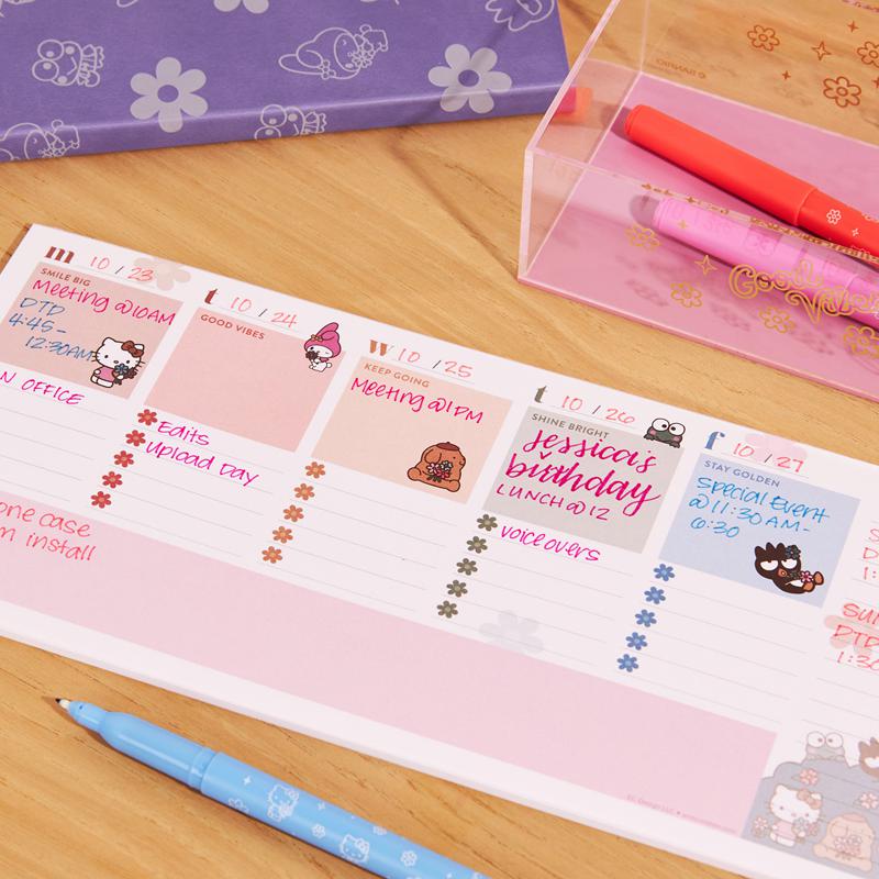 Sanrio Hello Kitty x Erin Condren Special Edition Gift Sanrio Characters Box  USA |  CADIQ-0857
